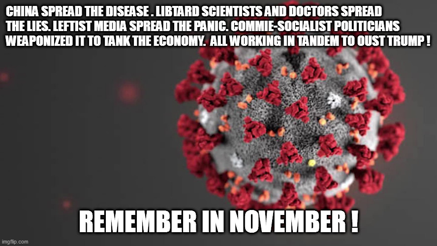 The election is six months away...time to get informed. | CHINA SPREAD THE DISEASE . LIBTARD SCIENTISTS AND DOCTORS SPREAD THE LIES. LEFTIST MEDIA SPREAD THE PANIC. COMMIE-SOCIALIST POLITICIANS WEAPONIZED IT TO TANK THE ECONOMY.  ALL WORKING IN TANDEM TO OUST TRUMP ! REMEMBER IN NOVEMBER ! | image tagged in covid,leftists,plandemic | made w/ Imgflip meme maker