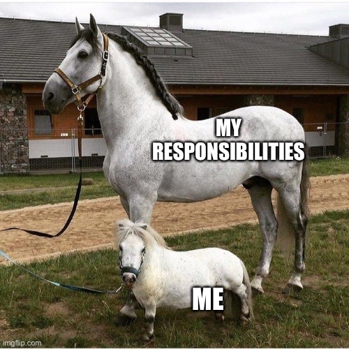 horse and pony | MY RESPONSIBILITIES; ME | image tagged in horse and pony,horses,pony,funny memes,stupid | made w/ Imgflip meme maker