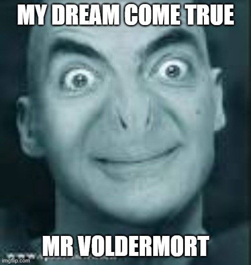 mr voldermort | MY DREAM COME TRUE; MR VOLDERMORT | image tagged in mr voldermort,fun stuff,memes,mr bean,voldermort,cool | made w/ Imgflip meme maker