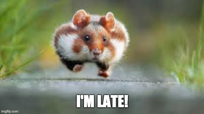 run run | I'M LATE! | image tagged in school | made w/ Imgflip meme maker