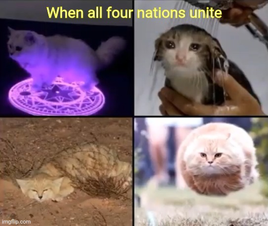 The Catatar | When all four nations unite | image tagged in elements | made w/ Imgflip meme maker