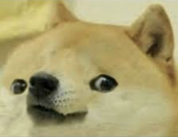 High Quality Thicc doge Blank Meme Template