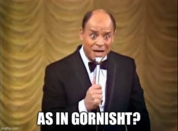 Don Rickles Insult | AS IN GORNISHT? | image tagged in don rickles insult | made w/ Imgflip meme maker