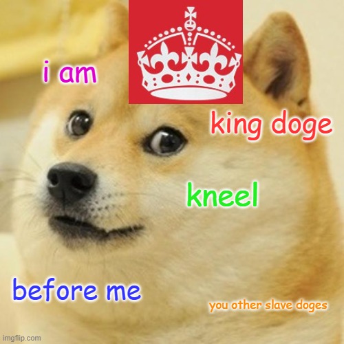 kneel to the doge king | i am; king doge; kneel; before me; you other slave doges | image tagged in memes,doge | made w/ Imgflip meme maker