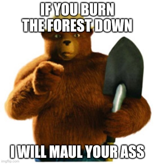 Smokey's less often heard yet more aggressive message | IF YOU BURN THE FOREST DOWN; I WILL MAUL YOUR ASS | image tagged in smokey bear | made w/ Imgflip meme maker