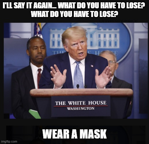 What do you have to lose? | I'LL SAY IT AGAIN... WHAT DO YOU HAVE TO LOSE? 
WHAT DO YOU HAVE TO LOSE? WEAR A MASK | image tagged in trump,masks | made w/ Imgflip meme maker