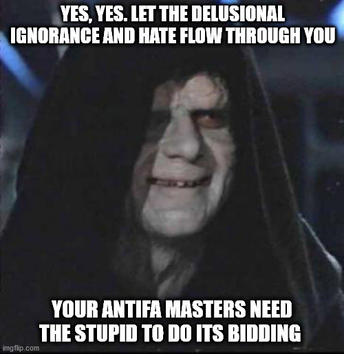 Antifa Bidding | YES, YES. LET THE DELUSIONAL IGNORANCE AND HATE FLOW THROUGH YOU; YOUR ANTIFA MASTERS NEED THE STUPID TO DO ITS BIDDING | image tagged in memes,sidious error | made w/ Imgflip meme maker