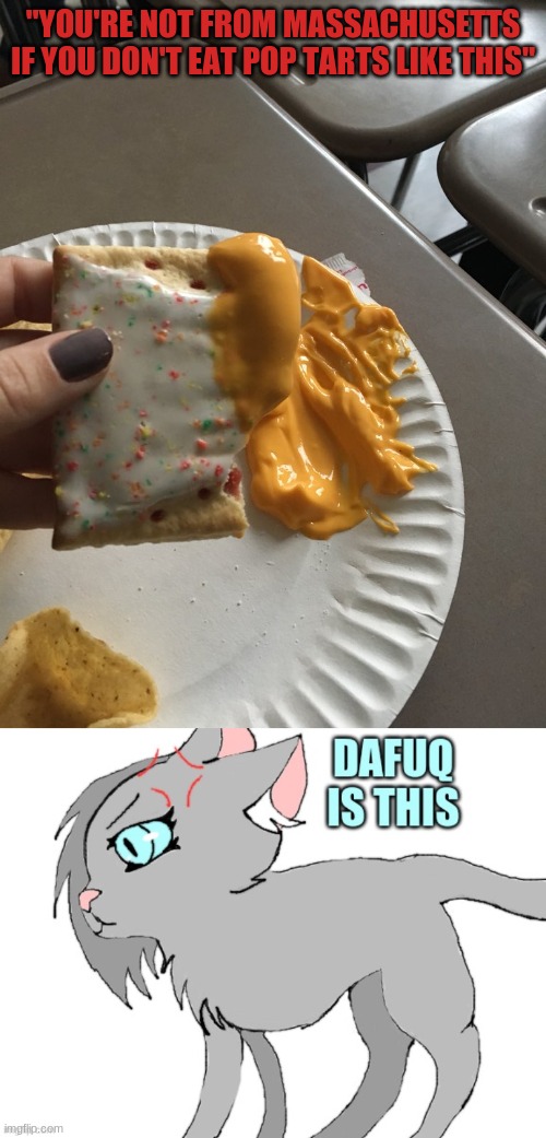 WHO DOES THIS?!?! | "YOU'RE NOT FROM MASSACHUSETTS IF YOU DON'T EAT POP TARTS LIKE THIS" | image tagged in dafuq,what is this,oh wow are you actually reading these tags | made w/ Imgflip meme maker