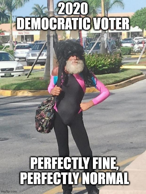 Crazy liberals 2020 | 2020 DEMOCRATIC VOTER; PERFECTLY FINE, PERFECTLY NORMAL | image tagged in fabulous homeless | made w/ Imgflip meme maker