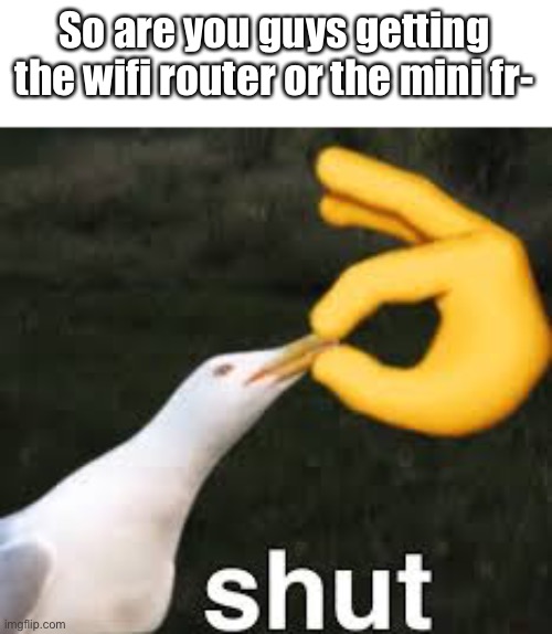 Shut Bird | So are you guys getting the wifi router or the mini fr- | image tagged in shut bird | made w/ Imgflip meme maker