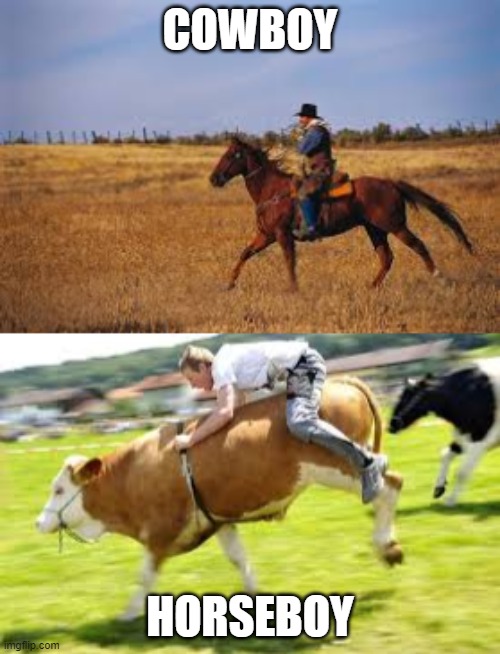 Cowboy And Horseboy | COWBOY; HORSEBOY | image tagged in memes,funny,so true memes,lol so funny,cowboy,horse | made w/ Imgflip meme maker