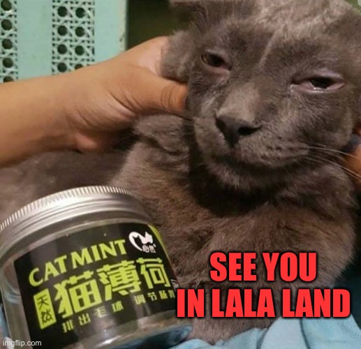 SEE YOU IN LALA LAND | made w/ Imgflip meme maker