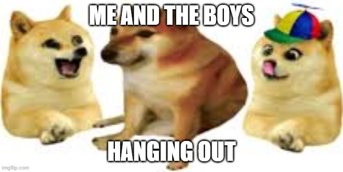 my and the boys | ME AND THE BOYS; HANGING OUT | image tagged in dogs | made w/ Imgflip meme maker