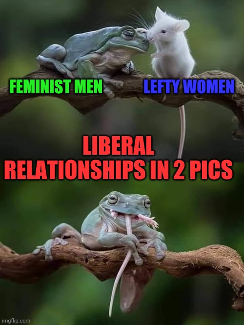 Liberal relationships, feminist men lefty/women | LEFTY WOMEN; FEMINIST MEN; LIBERAL RELATIONSHIPS IN 2 PICS | image tagged in feminist,feminism,liberal,relationships | made w/ Imgflip meme maker