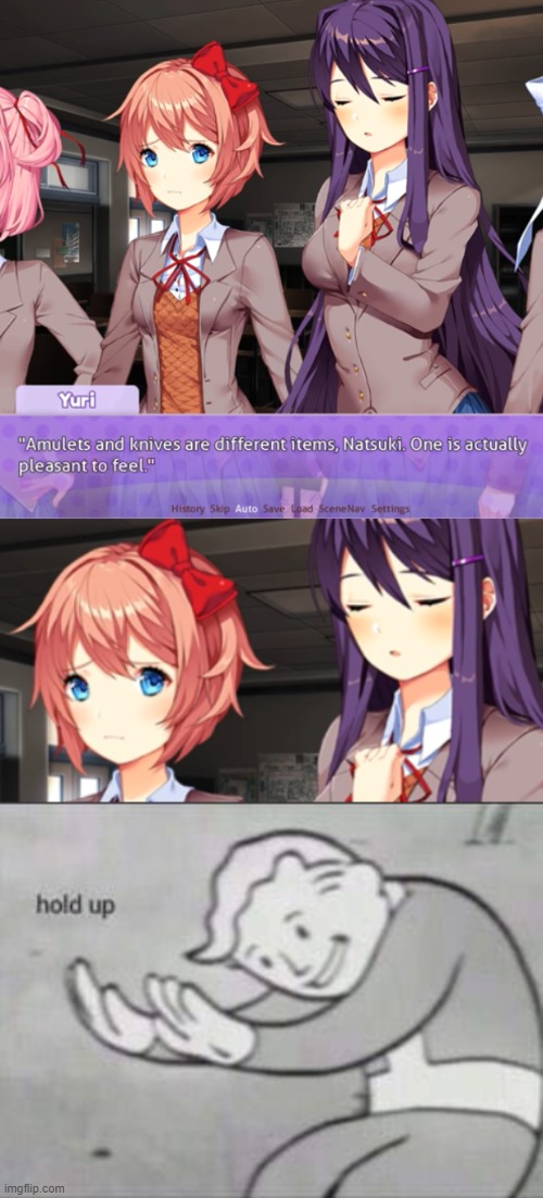What is that, Yuri? (Actual mod by YouTuber Alpine Vortex) | image tagged in fallout hold up,doki doki literature club | made w/ Imgflip meme maker