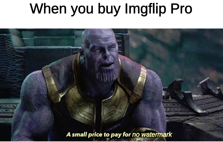 i regret nothing | When you buy Imgflip Pro; no watermark | image tagged in a small price to pay for salvation,memes | made w/ Imgflip meme maker