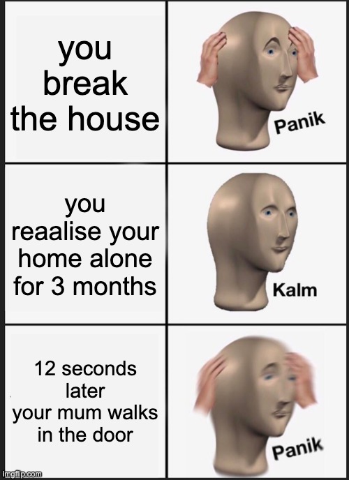 please do panik | you break the house; you reaalise your home alone for 3 months; 12 seconds later your mum walks in the door | image tagged in memes,panik kalm panik | made w/ Imgflip meme maker
