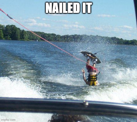 Nailed It Meme | NAILED IT | image tagged in memes,nailed it | made w/ Imgflip meme maker
