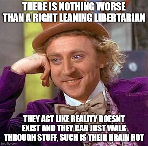 they are so dumb have you ever tried to talk to one? | THERE IS NOTHING WORSE THAN A RIGHT LEANING LIBERTARIAN; THEY ACT LIKE REALITY DOESNT EXIST AND THEY CAN JUST WALK THROUGH STUFF, SUCH IS THEIR BRAIN ROT | image tagged in memes,libertarians,right wing,chicken wings haha,brain rot,simply buy a house | made w/ Imgflip meme maker