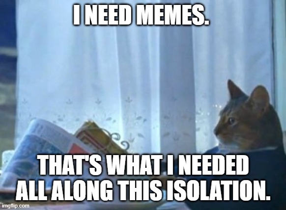 I need memes | I NEED MEMES. THAT'S WHAT I NEEDED ALL ALONG THIS ISOLATION. | image tagged in memes,i should buy a boat cat,isolation,i need it | made w/ Imgflip meme maker