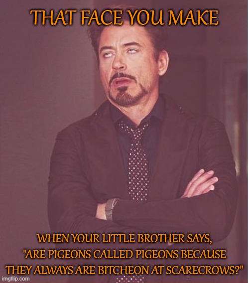 Face You Make Robert Downey Jr | THAT FACE YOU MAKE; WHEN YOUR LITTLE BROTHER SAYS, "ARE PIGEONS CALLED PIGEONS BECAUSE THEY ALWAYS ARE BITCHEON AT SCARECROWS?" | image tagged in memes,face you make robert downey jr | made w/ Imgflip meme maker