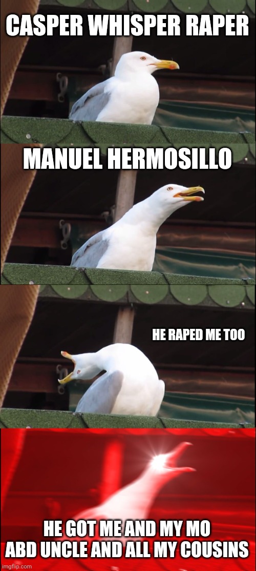 Inhaling Seagull Meme | CASPER WHISPER RAPER MANUEL HERMOSILLO HE RAPED ME TOO HE GOT ME AND MY MO ABD UNCLE AND ALL MY COUSINS | image tagged in memes,inhaling seagull | made w/ Imgflip meme maker