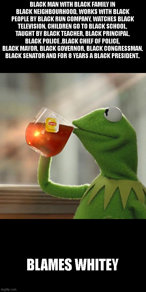 But That's None Of My Business Meme | BLACK MAN WITH BLACK FAMILY IN BLACK NEIGHBOURHOOD, WORKS WITH BLACK PEOPLE BY BLACK RUN COMPANY, WATCHES BLACK TELEVISION, CHILDREN GO TO B | image tagged in memes,but that's none of my business,kermit the frog | made w/ Imgflip meme maker