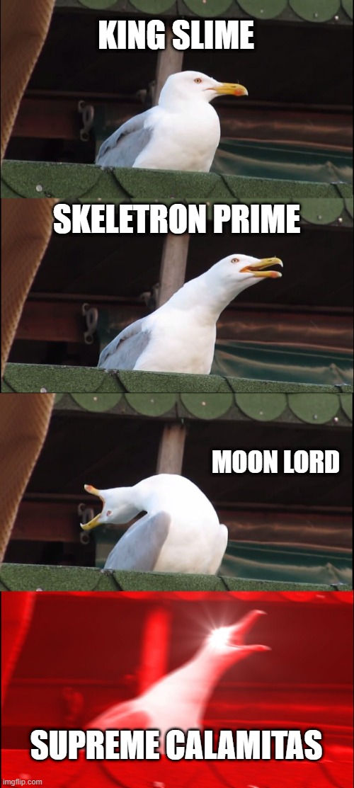 The painful world of Terraria Calamity mod | KING SLIME; SKELETRON PRIME; MOON LORD; SUPREME CALAMITAS | image tagged in memes,inhaling seagull,terraria,painful,funny dogs | made w/ Imgflip meme maker