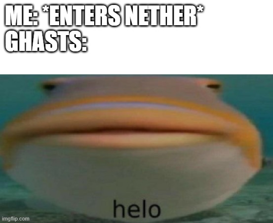 helo | ME: *ENTERS NETHER*
GHASTS: | image tagged in helo | made w/ Imgflip meme maker