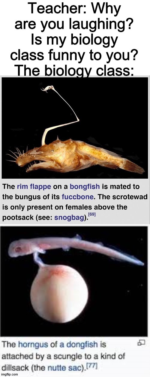 Teacher: Why are you laughing? Is my biology class funny to you?
The biology class: | image tagged in fish | made w/ Imgflip meme maker