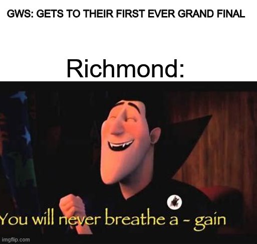 GWS: GETS TO THEIR FIRST EVER GRAND FINAL; Richmond: | image tagged in funny,funny memes,memes | made w/ Imgflip meme maker