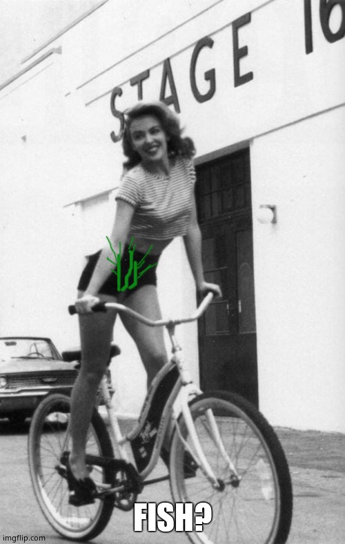Kylie on bike | FISH? | image tagged in kylie on bike | made w/ Imgflip meme maker