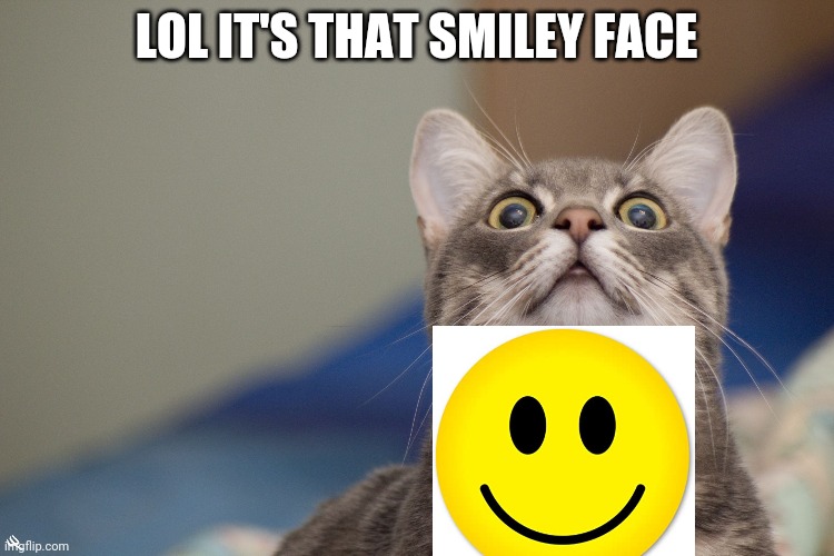 LOLCAT | LOL IT'S THAT SMILEY FACE | image tagged in lolcat | made w/ Imgflip meme maker