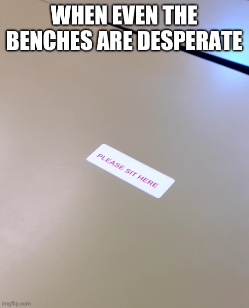 Please sit here | WHEN EVEN THE BENCHES ARE DESPERATE | image tagged in funny | made w/ Imgflip meme maker