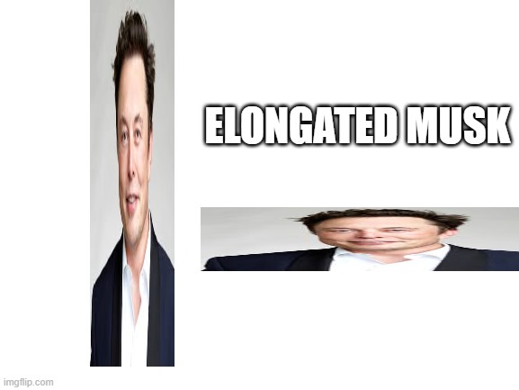 Elongated musk | ELONGATED MUSK | image tagged in blank white template,elon musk | made w/ Imgflip meme maker