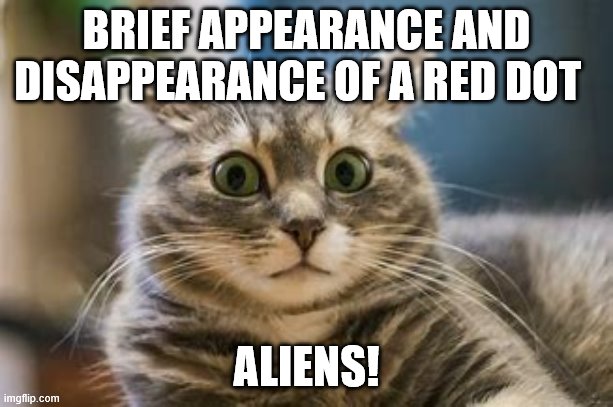 aliens! | BRIEF APPEARANCE AND DISAPPEARANCE OF A RED DOT; ALIENS! | image tagged in cats,aliens,lasers | made w/ Imgflip meme maker