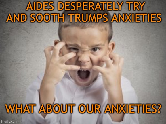 Trump anxieties and his trickle down effect | AIDES DESPERATELY TRY AND SOOTH TRUMPS ANXIETIES; WHAT ABOUT OUR ANXIETIES? | image tagged in donald trump,anxiety,conservatives,funny,loser,november | made w/ Imgflip meme maker