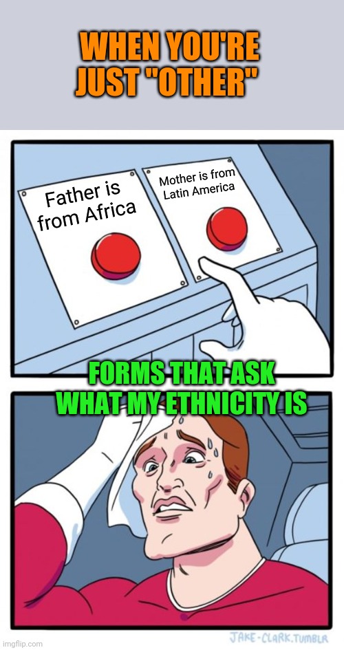 Why does everyone call it race when it's really ethnicity? | WHEN YOU'RE JUST "OTHER"; Mother is from Latin America; Father is from Africa; FORMS THAT ASK WHAT MY ETHNICITY IS | image tagged in memes,two buttons | made w/ Imgflip meme maker