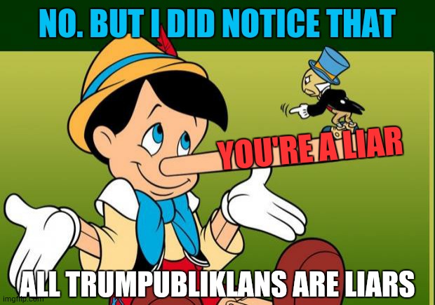 Liar | NO. BUT I DID NOTICE THAT YOU'RE A LIAR ALL TRUMPUBLIKLANS ARE LIARS | image tagged in liar | made w/ Imgflip meme maker