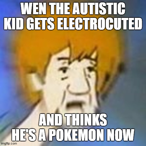 Shaggy Dank Meme | WEN THE AUTISTIC KID GETS ELECTROCUTED; AND THINKS HE'S A POKEMON NOW | image tagged in shaggy dank meme | made w/ Imgflip meme maker