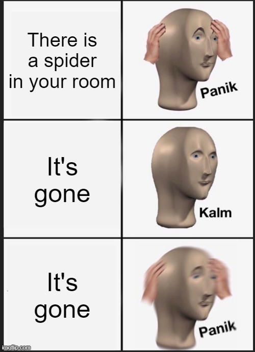 Spyda | There is a spider in your room; It's gone; It's gone | image tagged in memes,panik kalm panik | made w/ Imgflip meme maker