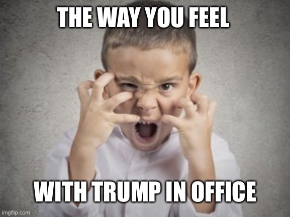 THE WAY YOU FEEL WITH TRUMP IN OFFICE | made w/ Imgflip meme maker