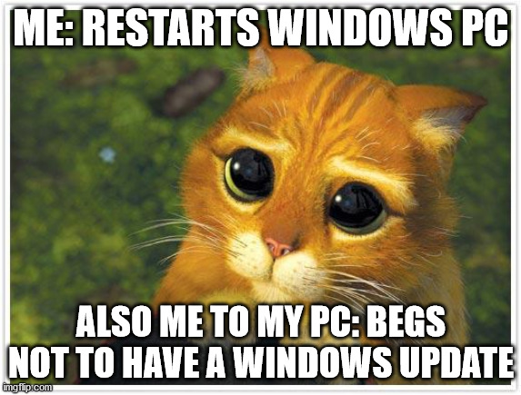 Shrek Cat Meme | ME: RESTARTS WINDOWS PC; ALSO ME TO MY PC: BEGS NOT TO HAVE A WINDOWS UPDATE | image tagged in memes,shrek cat | made w/ Imgflip meme maker