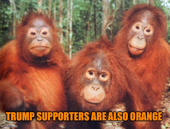 TRUMP SUPPORTERS ARE ALSO ORANGE | made w/ Imgflip meme maker