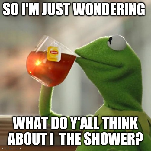 just a question | SO I'M JUST WONDERING; WHAT DO Y'ALL THINK ABOUT I  THE SHOWER? | image tagged in memes,but that's none of my business,kermit the frog | made w/ Imgflip meme maker