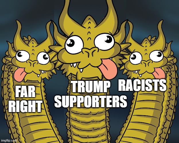 Three Headed Dragon | RACISTS; TRUMP SUPPORTERS; FAR RIGHT | image tagged in three headed dragon,trump,donald trump,dragon,racism | made w/ Imgflip meme maker