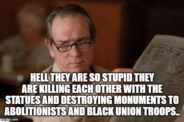 no country for old men tommy lee jones | HELL THEY ARE SO STUPID THEY ARE KILLING EACH OTHER WITH THE STATUES AND DESTROYING MONUMENTS TO ABOLITIONISTS AND BLACK UNION TROOPS.. | image tagged in no country for old men tommy lee jones | made w/ Imgflip meme maker