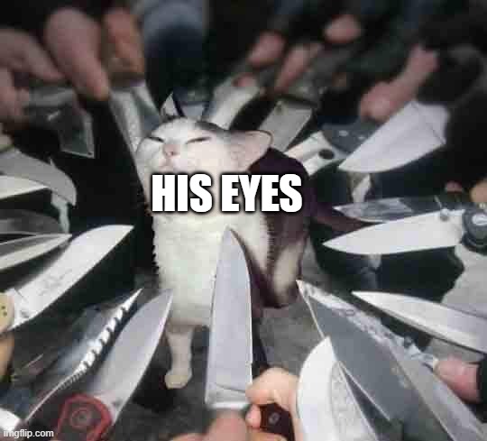 Knife Cat | HIS EYES | image tagged in knife cat | made w/ Imgflip meme maker