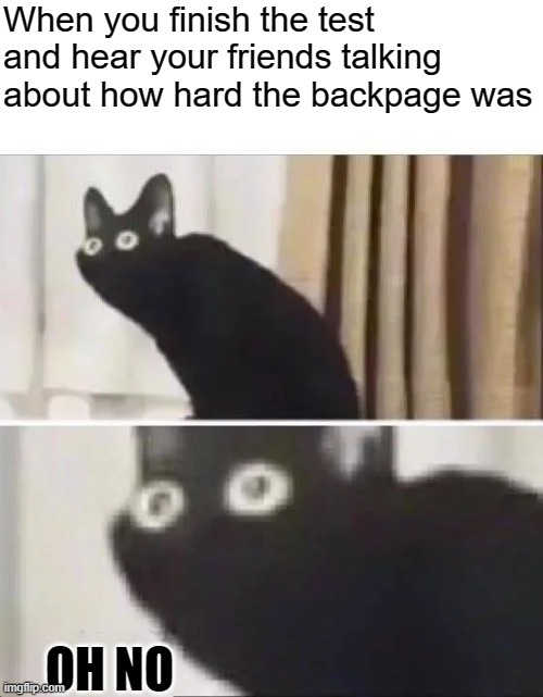 Oh no | When you finish the test and hear your friends talking about how hard the backpage was; OH NO | image tagged in oh no black cat | made w/ Imgflip meme maker