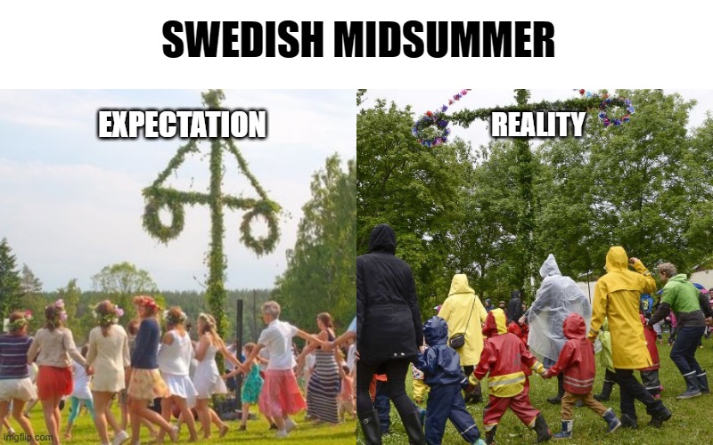 Swedish midsummer | SWEDISH MIDSUMMER; EXPECTATION; REALITY | image tagged in expectation vs reality | made w/ Imgflip meme maker